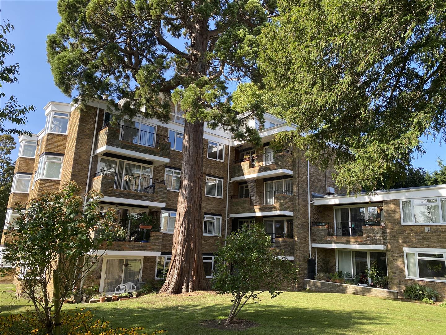 Wellingtonia Court, Laine Close, Brighton Greenways Property